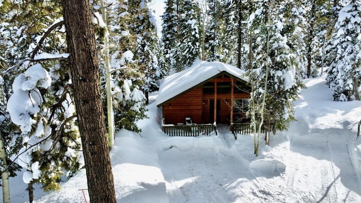 Lovely Log Cabin With Fire Pit! Duck Creek Village Bagian luar foto
